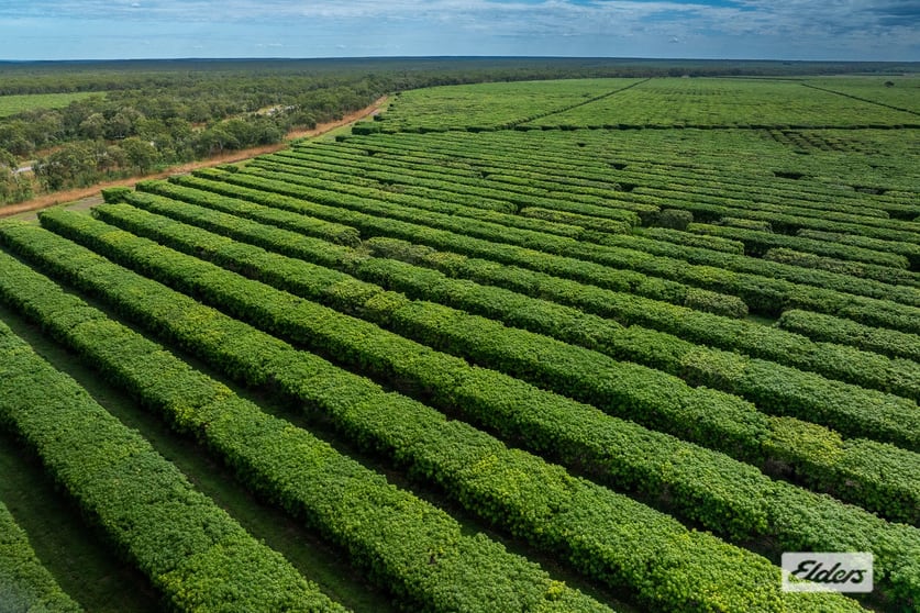 Click to view all images Connelly Road Lambells Lagoon NT 0822 - Image 1