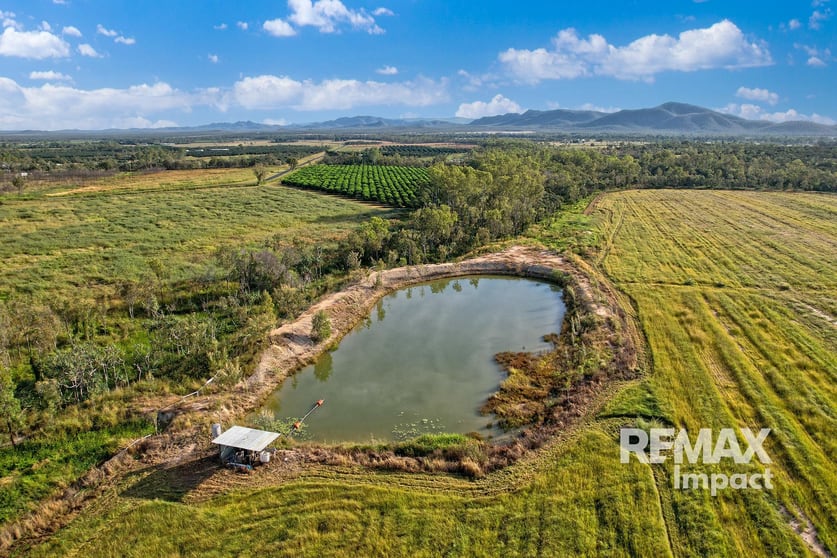 Click to view all images 67 East Dawson Road Mutchilba QLD 4872 - Image 3