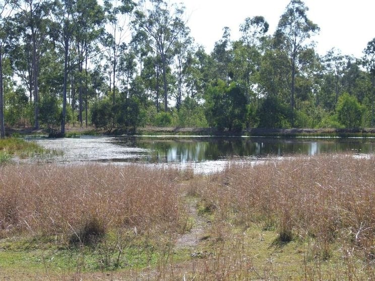 Click to view all images 57 Theils Road Dalysford QLD 4671 - Image 1