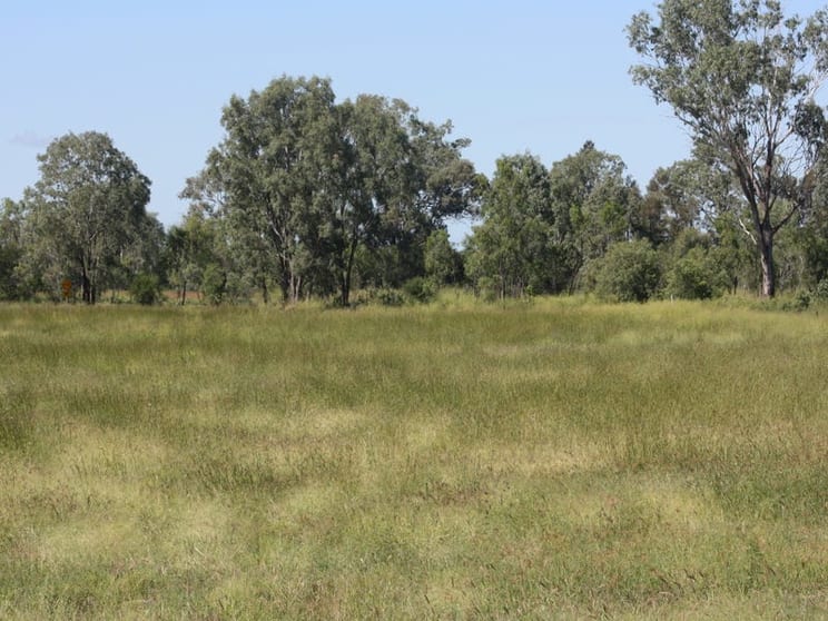 Click to view all images 444 Jambin Goovigen Road Goovigen QLD 4702 - Image 3