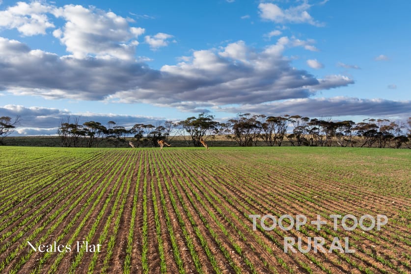 Click to view all images 332/ Angle Road Brownlow SA 5374 - Image 2