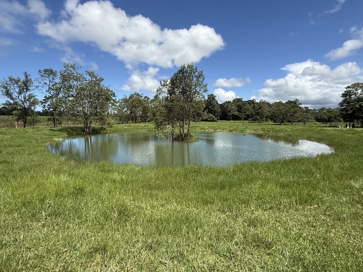 Click to view all images 89 McQuillan Road Jarra Creek QLD 4854 - Image 1