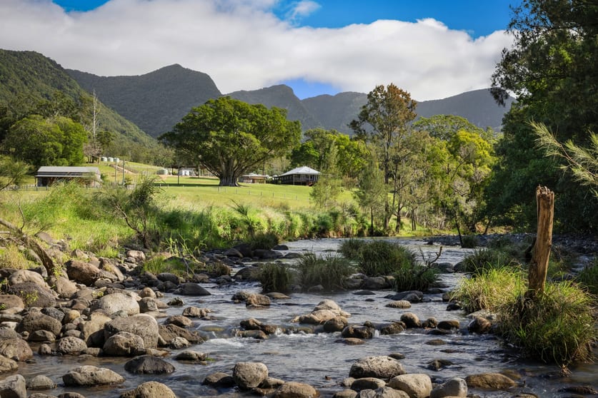 165 Limpinwood Valley Road Limpinwood NSW 2484 - Image 3