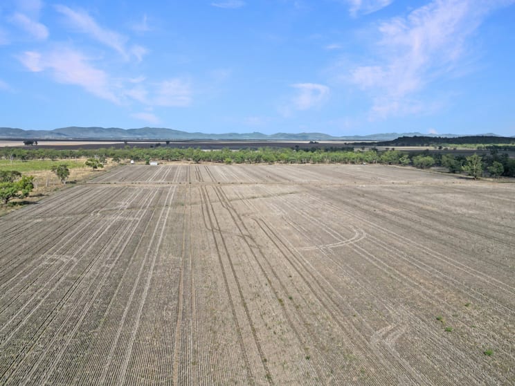 8354 Kamilaroi Highway Curlewis NSW 2381 - Image 2