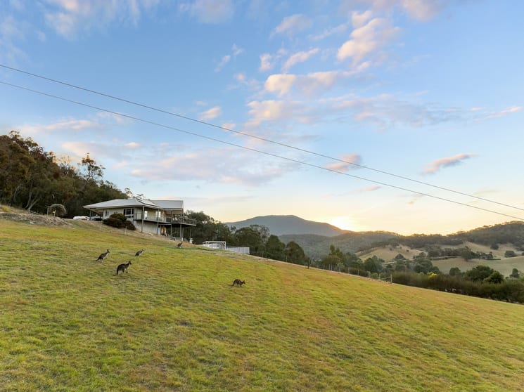 344 Jamieson-Licola Road Jamieson VIC 3723 - Image 3