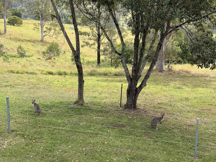 Click to view all images 1010 Brays Creek Road Brays Creek NSW 2484 - Image 3