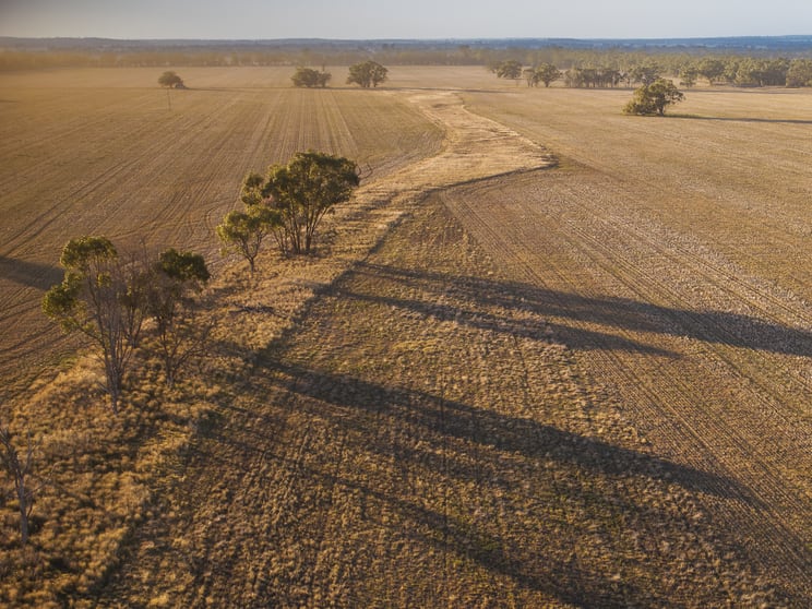 Click to view all images 1489 Carlisle-Trundle Road Trundle NSW 2875 - Image 2