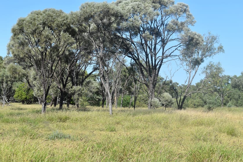 Click to view all images Moor Moor Road Dutton River QLD 4821 - Image 1