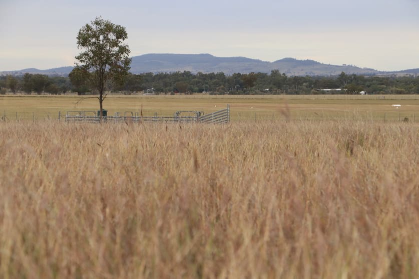 Ona Ona Road Roma QLD 4455 - Image 2