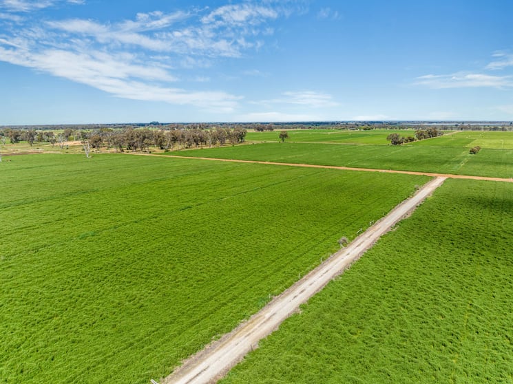 Click to view all images 1070 & 1072 White Road Girgarre VIC 3624 - Image 3