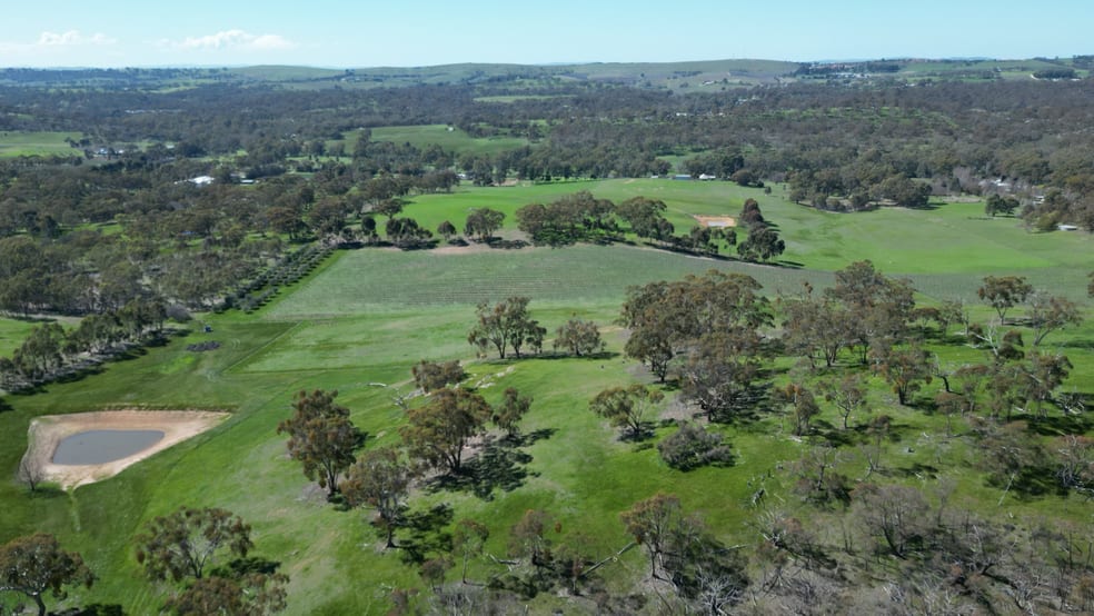 97 McCord Lane Gillentown SA 5453 - Image 3