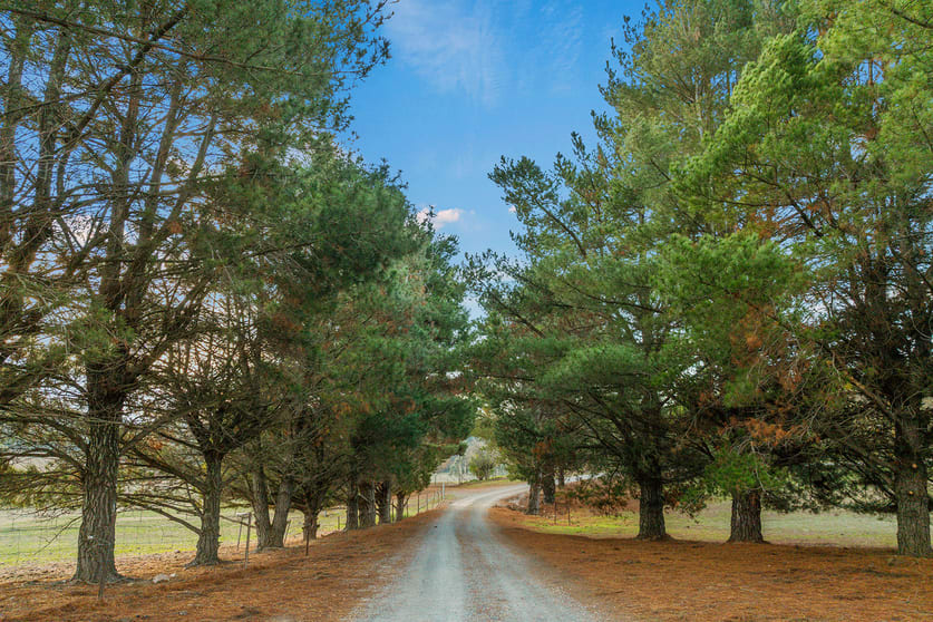 Click to view all images 553 Boutchers Drive Yass River NSW 2582 - Image 3