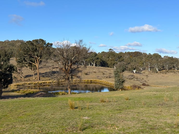 Click to view all images 127a Corregans Road Yass NSW 2582 - Image 3