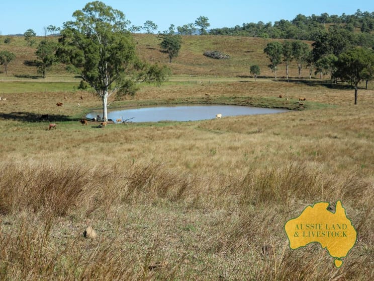 Click to view all images 114 Booinbah Road Tansey QLD 4601 - Image 2