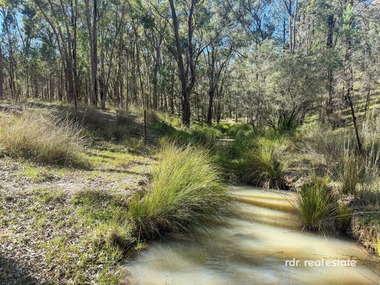 Click to view all images Lot 1 Onus Road, Copeton Inverell NSW 2360 - Image 3