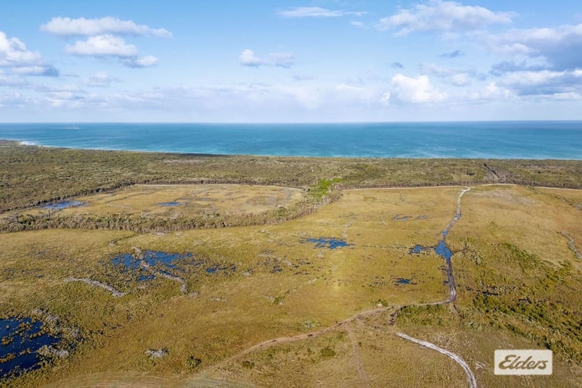 Sea Elephant Road Sea Elephant TAS 7256 - Image 1