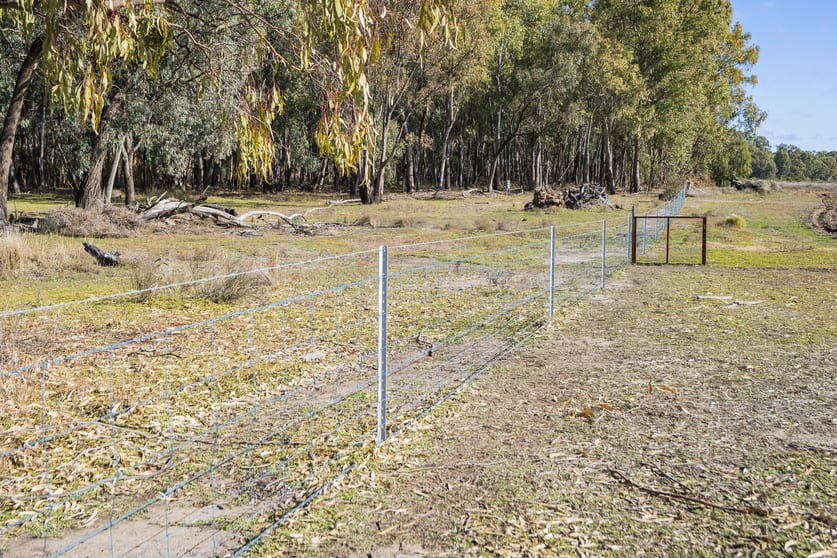 4007 Kiacatoo Road Condobolin NSW 2877 - Image 3