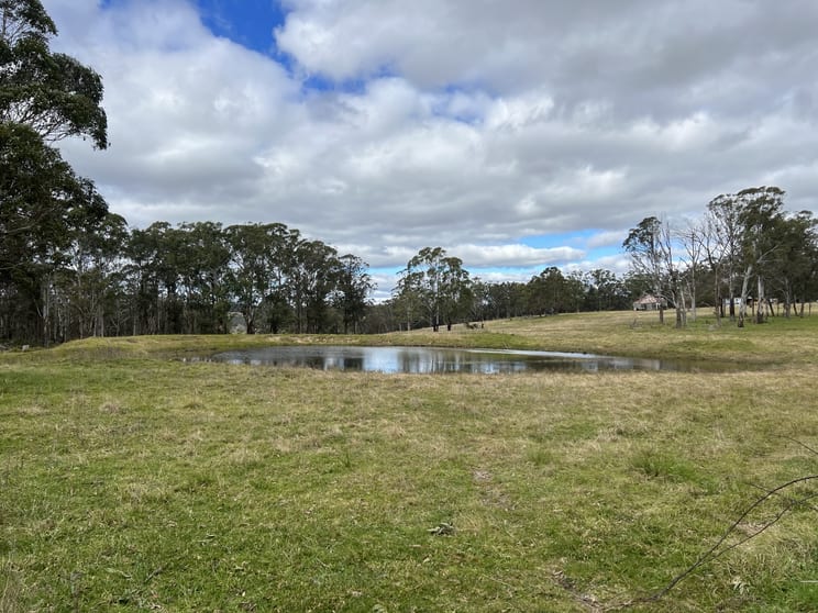 Click to view all images * Coopers Road Red Range NSW 2370 - Image 1