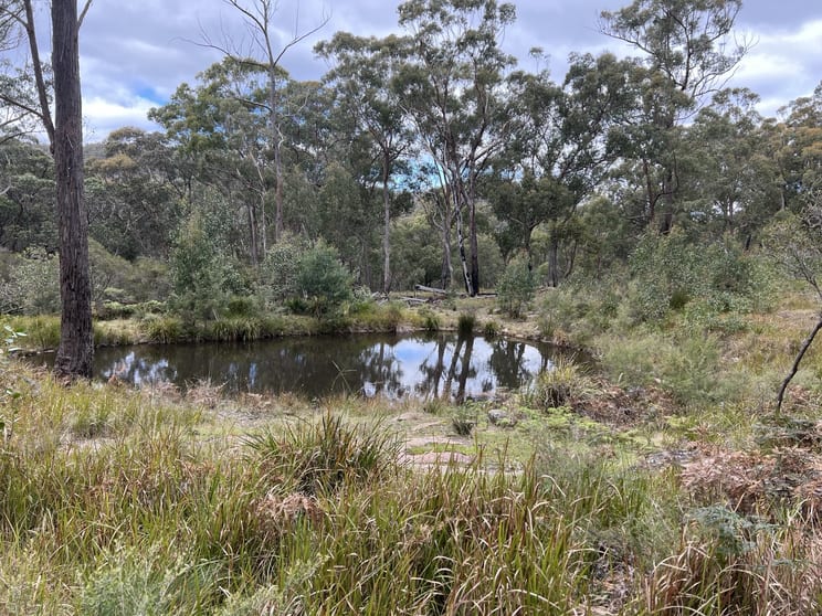 Click to view all images 0 Coopers Road Red Range NSW 2370 - Image 2
