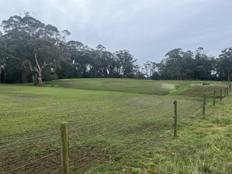 Click to view all images 67 Myrtle Grove Road Wiltshire TAS 7321 - Image 3