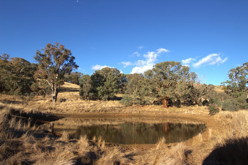 Click to view all images 355 Gallymont Road Mandurama NSW 2792 - Image 2