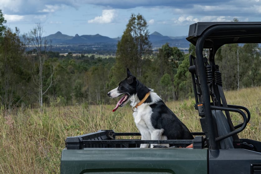 Click to view all images 2584 Rosewood-Warrill View Road Coleyville QLD 4307 - Image 2