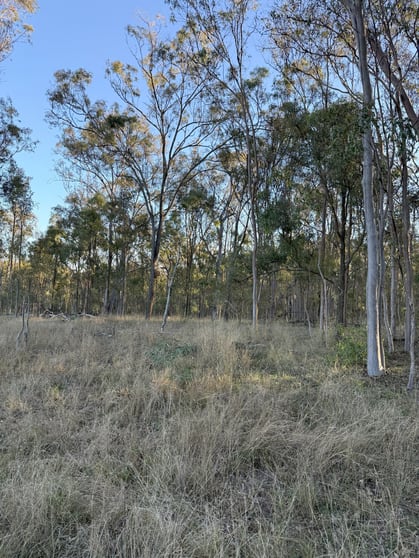 Click to view all images Wesslings Road Wesslings Road Murgon QLD 4605 - Image 3