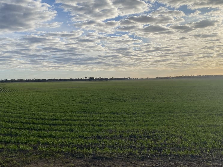 Stawell-Warracknabeal Road Minyip VIC 3392 - Image 2