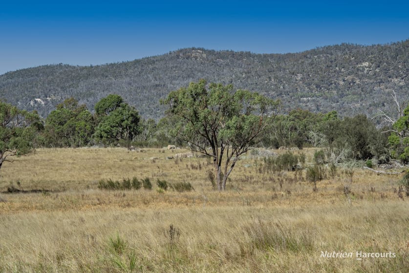 Click to view all images 208 Rocky Glen Road Kingstown NSW 2358 - Image 3