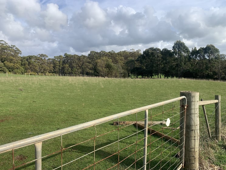 Click to view all images 0 Studderds Road Moorleah TAS 7325 - Image 3