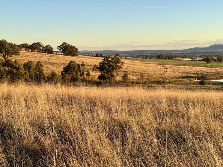 Click to view all images "Sirius" East Turanville Road Scone NSW 2337 - Image 3