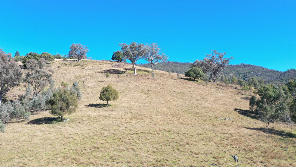 Click to view all images 1022 Danglemah Road Limbri NSW 2352 - Image 3
