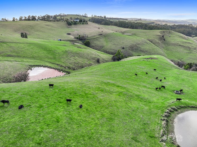 Click to view all images 710 Korumburra - Warragul Road Ranceby VIC 3951 - Image 3
