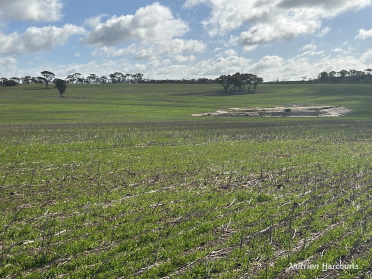 Click to view all images . "Red Hill", Bagnalls Road Dumbleyung WA 6350 - Image 2