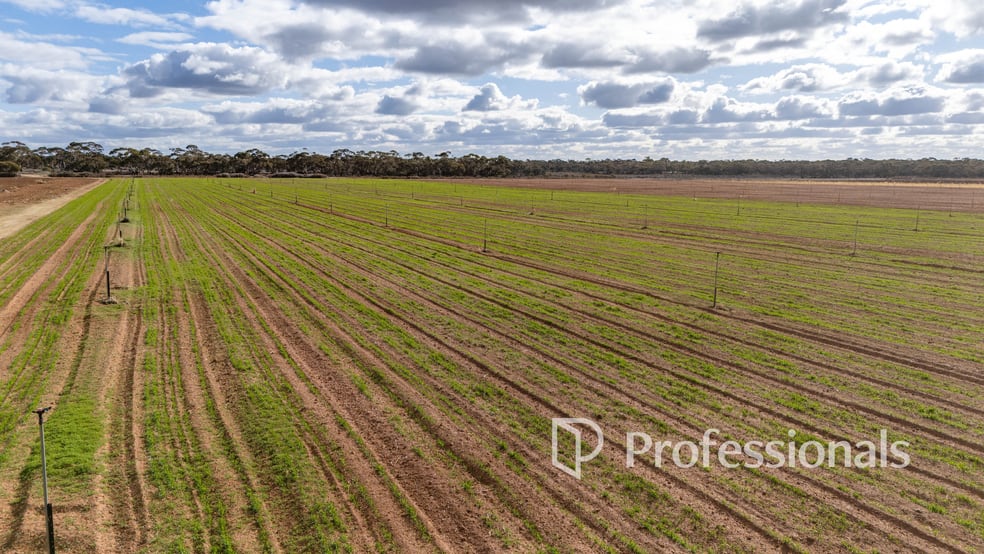 Click to view all images Cnr Norman Road Merbein West VIC 3505 - Image 3