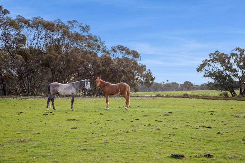 Click to view all images Lot 1/753 Clays Road Bagshot North VIC 3551 - Image 3
