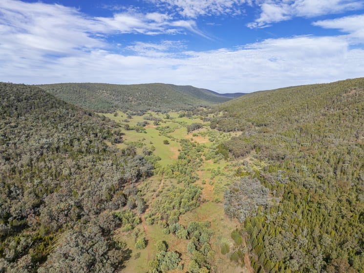 Click to view all images 'Part Wattle Valley' Kangarooby Road Gooloogong NSW 2805 - Image 1