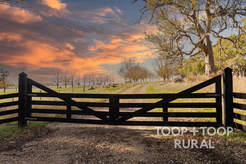 Click to view all images 232 Brownes Road Pewsey Vale SA 5351 - Image 1