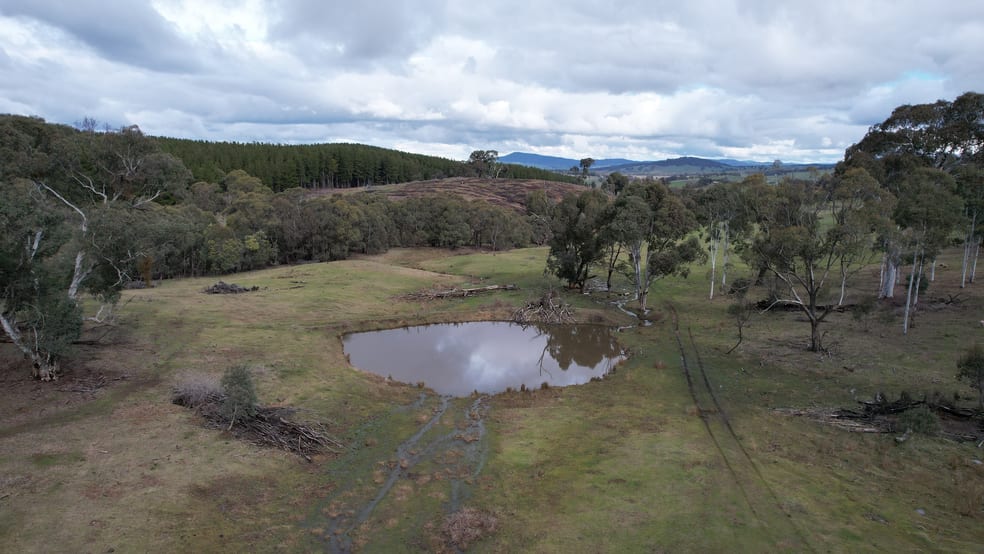 Lots 1, 4, 7 Glenroy Hills Road Tumbarumba NSW 2653 - Image 2