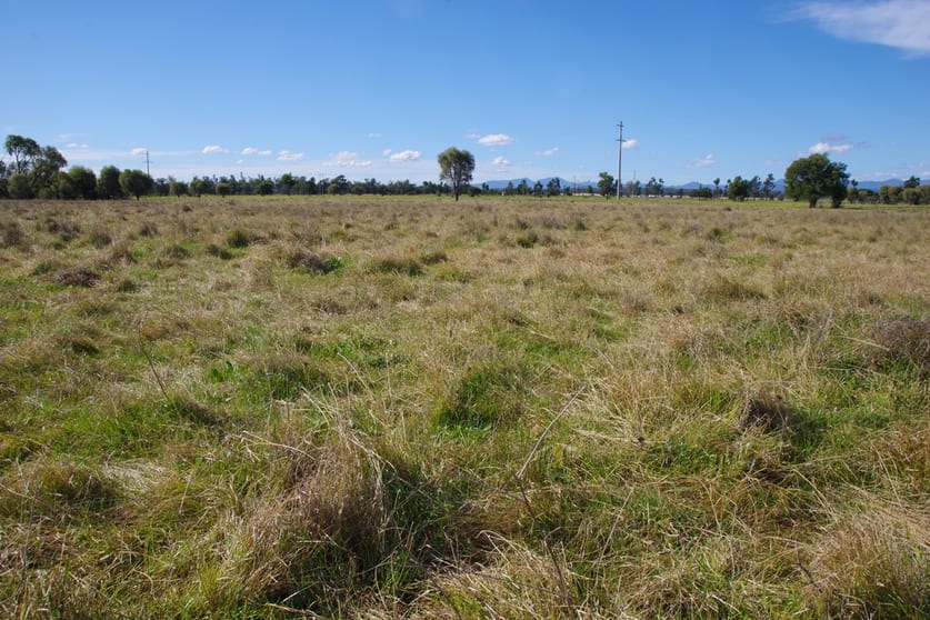 57 Kaputar Road Narrabri NSW 2390 - Image 2