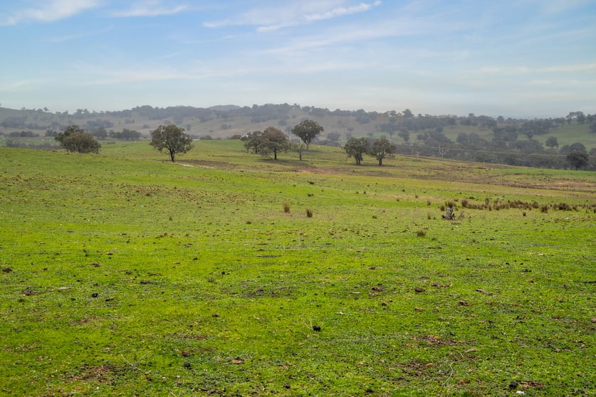 6119 Burrendong Way Stuart Town NSW 2820 - Image 2