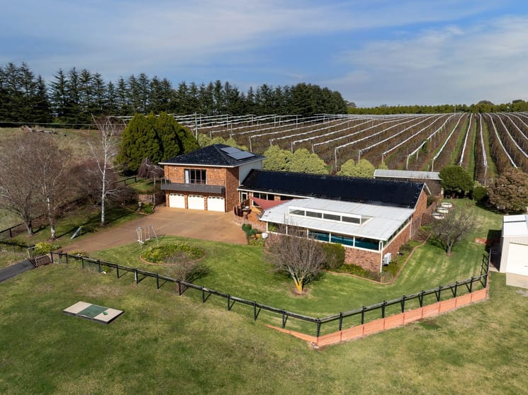 19 Wallace Lane Orange NSW 2800 - Image 1