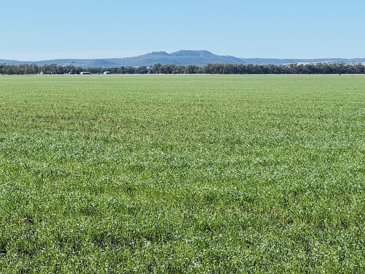 Click to view all images Lot 95 Bacons Road Kelvinhaugh QLD 4401 - Image 1