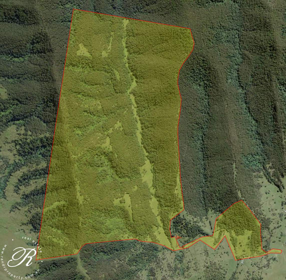 Click to view all images 2263 Monkerai Road Monkerai NSW 2415 - Image 2