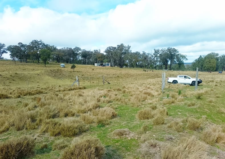 22 Cainbill Road Coolah NSW 2843 - Image 3