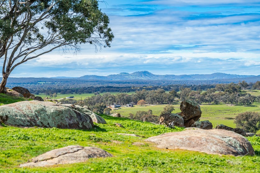 Click to view all images Rocky Creek Road Springhurst VIC 3682 - Image 3