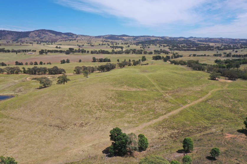 Click to view all images 496 Gibsons Lane Mudgee NSW 2850 - Image 2