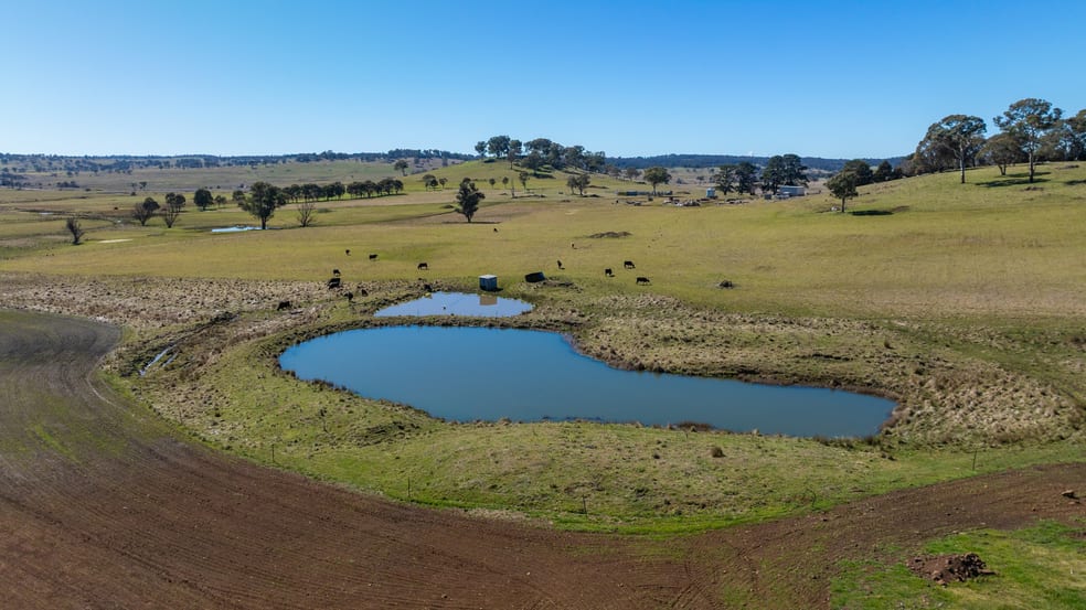 Click to view all images 'Pine View' 821 Llangothlin Road Guyra NSW 2365 - Image 3