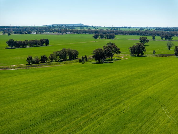 120 Erinvale Lane Milbrulong NSW 2656 - Image 2