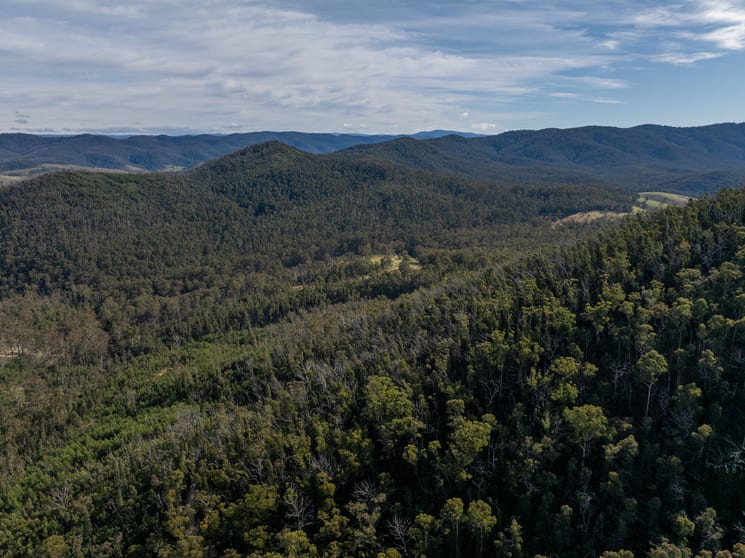 Click to view all images 3954 Tulloch Ard Road Buchan VIC 3885 - Image 2